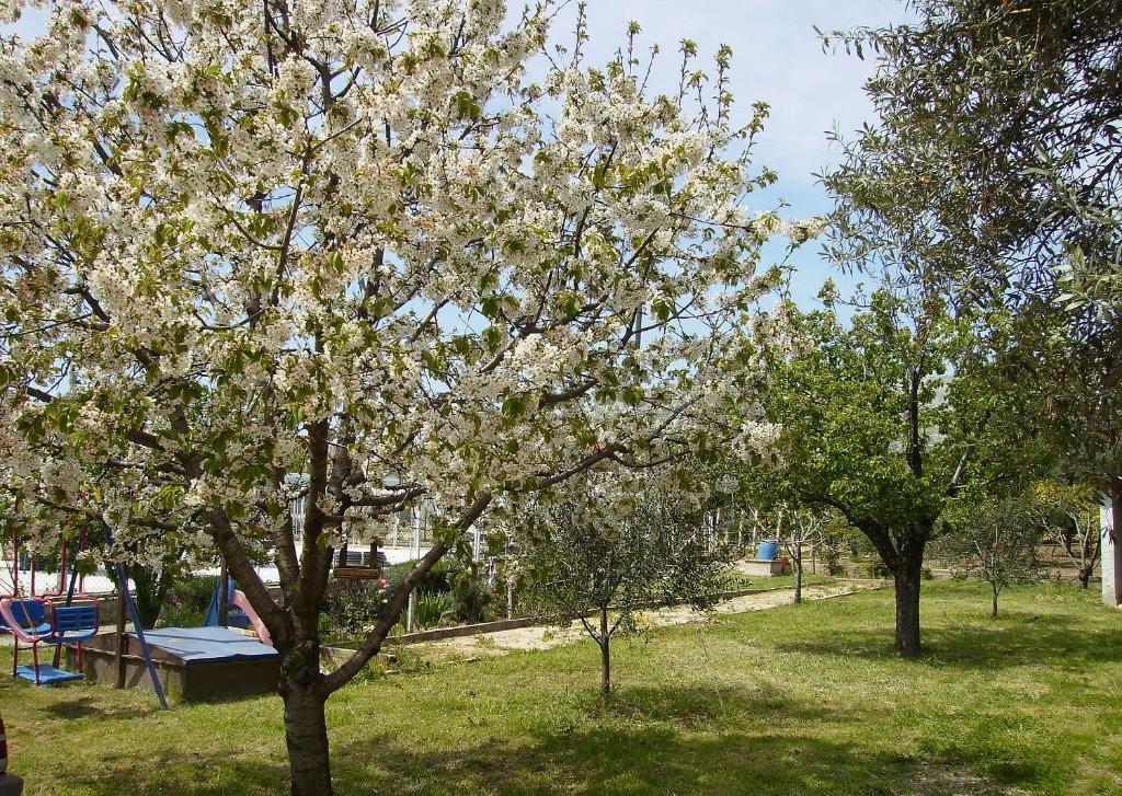 Apartments Irena Трогир Экстерьер фото